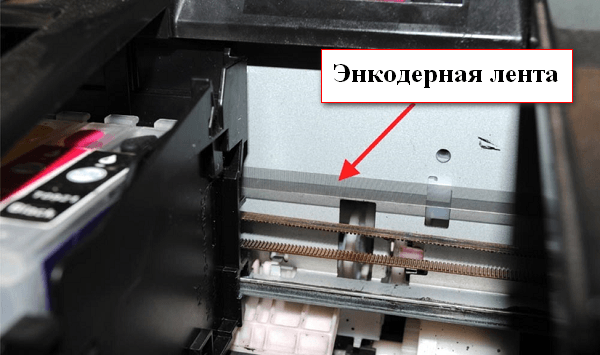 Что делать если принтер пишет что застряла бумага но ее там нет epson